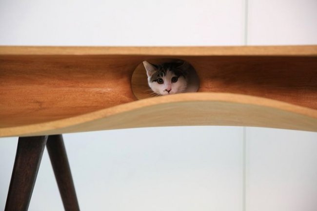 стол с местом для кота